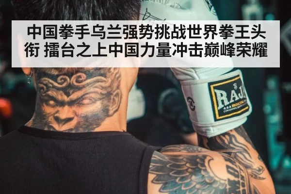 Chinese boxer training