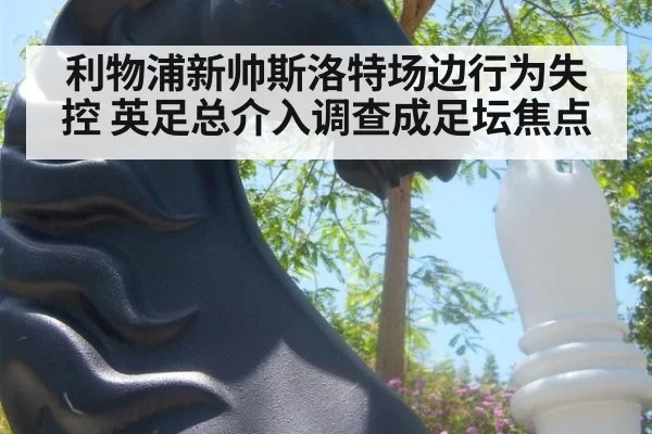 利物浦新帅斯洛特场边行为失控 英足总介入调查成足坛焦点 - MKSports