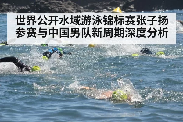 世界公开水域游泳锦标赛张子扬参赛与中国男队新周期深度分析